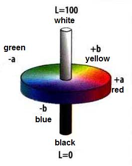 Colorimeter NR145 and NR20XE: Color Spaces